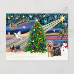 Cartão Postal De Festividades Natal Magic Yorkshire Terrier nº 9