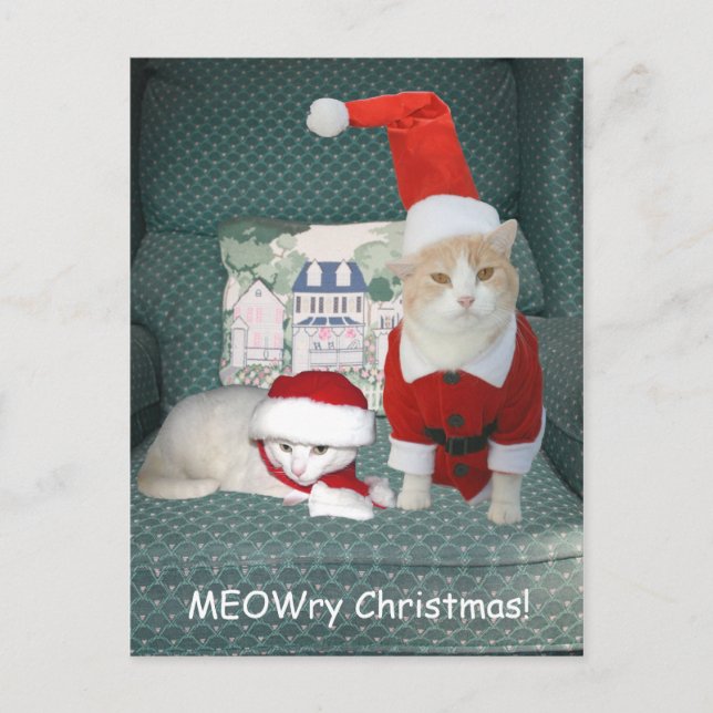 Cartão Postal De Festividades Natal MEOWry! (Frente)