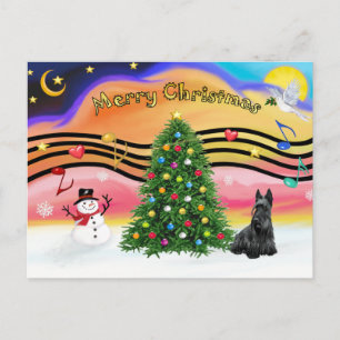 Cartão Postal De Festividades Natal Music 2 - Scottish Terrier