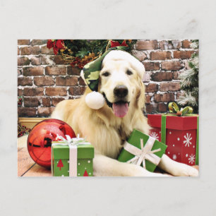 Cartão Postal De Festividades Natal - Ouro Retriever - Hudson
