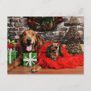 Cartão Postal De Festividades Natal - Ouro Retriever Max - Doxie - Chloe