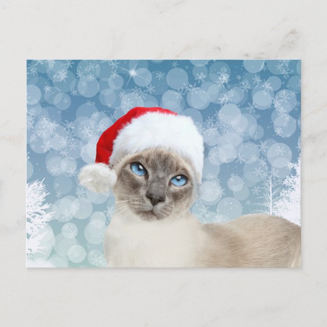 Cartão Postal De Festividades Natal para o gato siamês (Frente)