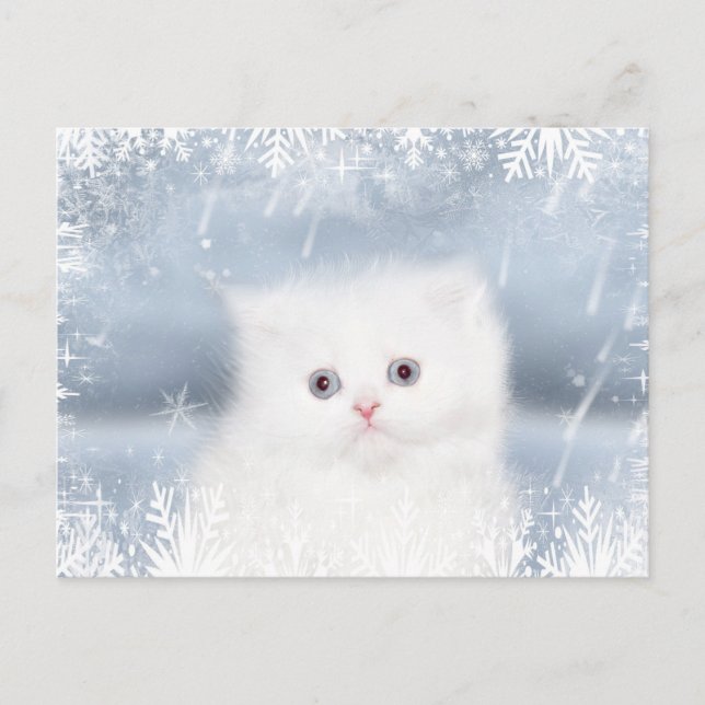 Cartão Postal De Festividades Natal persa branco do gatinho (Frente)