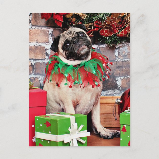 Cartão Postal De Festividades Natal - Pug - Lily Lou (Frente)