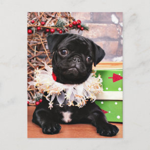 Cartão Postal De Festividades Natal - Pug - margarida Mae