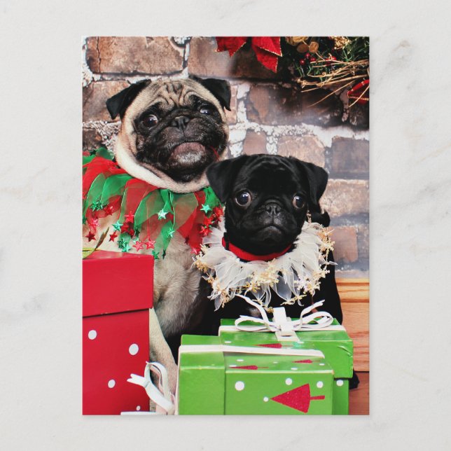 Cartão Postal De Festividades Natal - Pug - margarida Mae e lírio Lou (Frente)