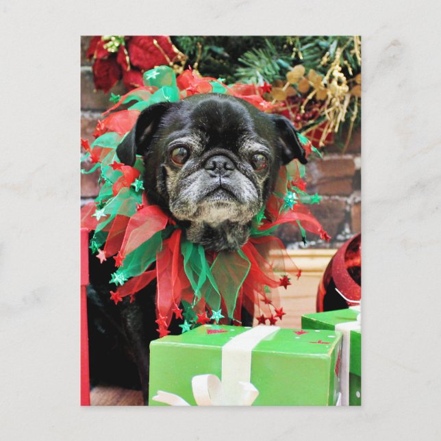 Cartão Postal De Festividades Natal - Pug - Michaelis (Frente)