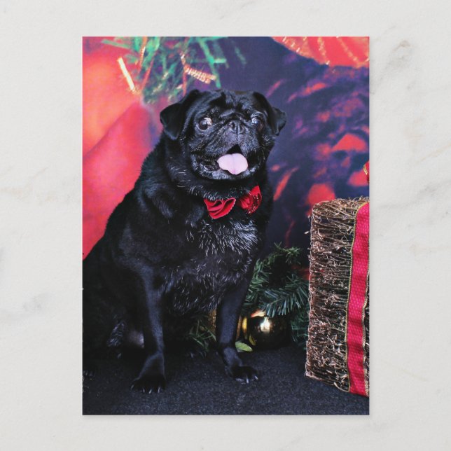 Cartão Postal De Festividades Natal - Pug - Pequeno Moe (Frente)