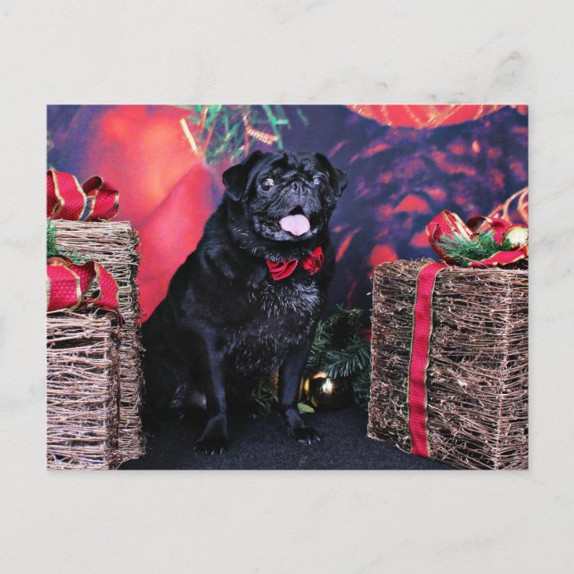 Cartão Postal De Festividades Natal - Pug - Pequeno Moe (Frente)