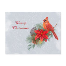 Natal Red Cardinal Poinsettia Business