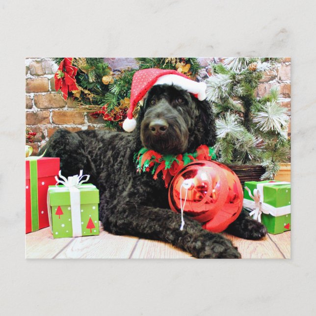 Cartão Postal De Festividades Natal - Schnoodle - Zeus (Frente)