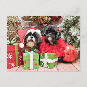 Cartão Postal De Festividades Natal - Shih Tzu - Riley e plissados