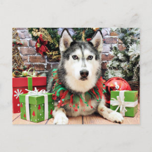Cartão Postal De Festividades Natal - Siberian Husky - Nika
