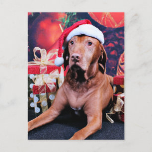 Cartão Postal De Festividades Natal - Vizsla - Budda