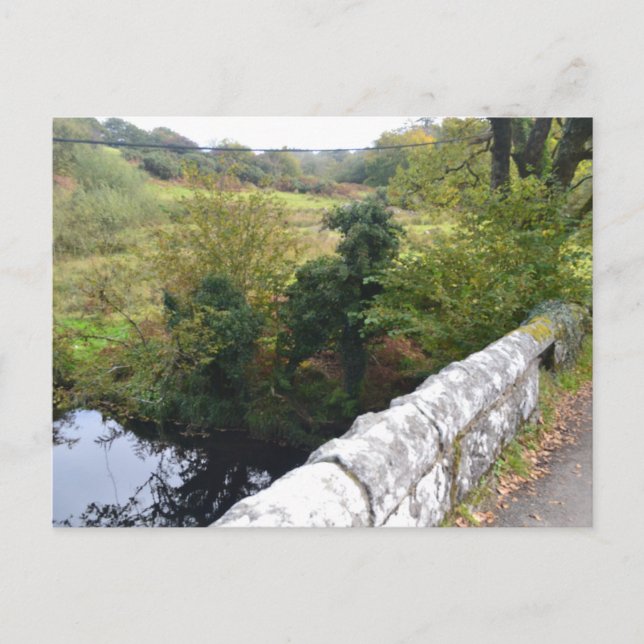 Cartão Postal De Festividades nature way of impersonating animalHoliday Postcard (Frente)