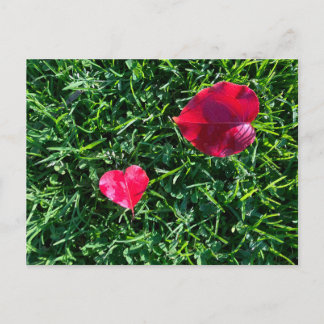 Cartão Postal De Festividades Natures valentine: heart shaped red leaf