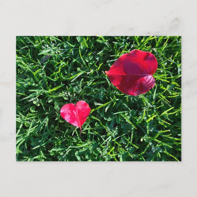 Cartão Postal De Festividades Natures valentine: heart shaped red leaf (Frente)