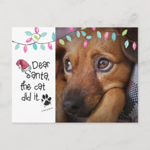 Cartão Postal De Festividades Naughn Dog Engraçado Papais noeis Caros Carta Foto