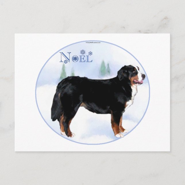 Cartão Postal De Festividades Noel Bernese Mountain Dog (Frente)