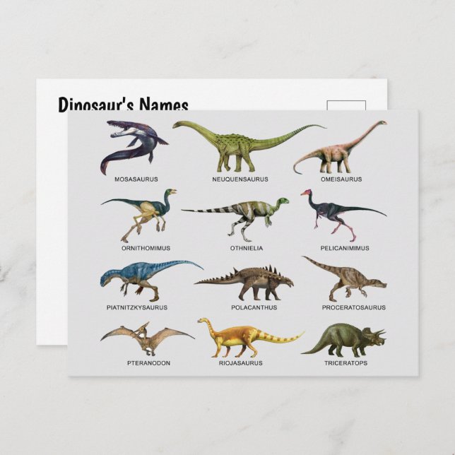 Cartão Postal De Festividades Nomes dos dinossauros (Frente/Verso)