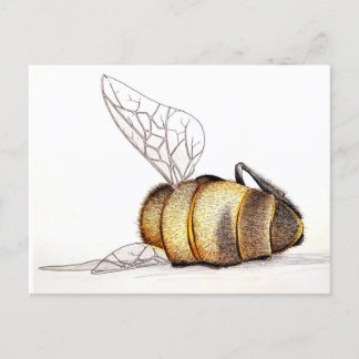 Cartão Postal De Festividades Nós nos importamos?