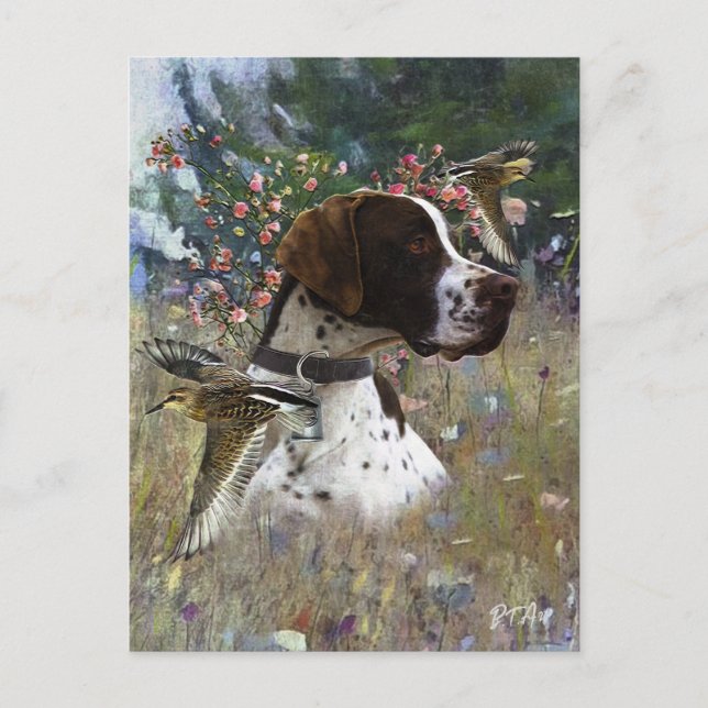 Cartão Postal De Festividades O belo ponteiro no campo (Frente)