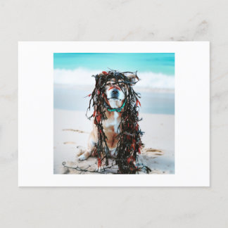 Cartão Postal De Festividades O cão com algas no cabelo