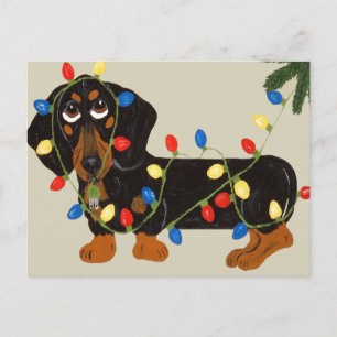Cartão Postal De Festividades O Dachshund Tangled no preto das luzes de