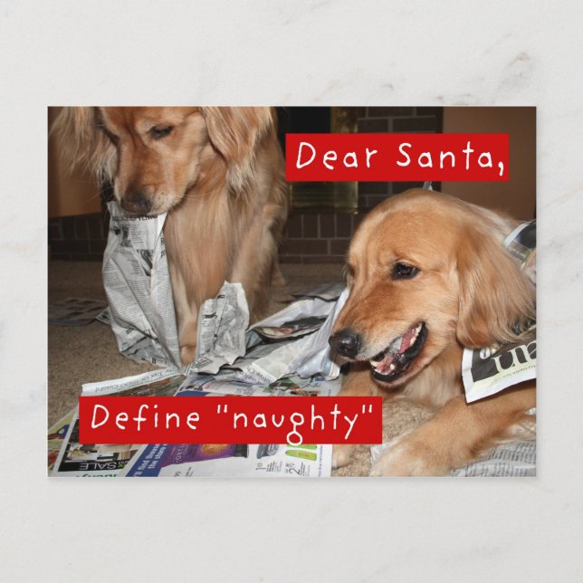 Cartão Postal De Festividades O golden retriever define o Natal impertinente (Frente)