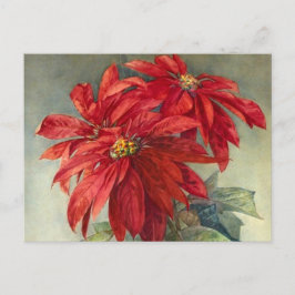 Cartão Postal De Festividades O Natal da poinsétia do vintage