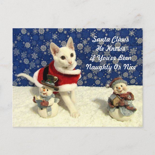 Cartão Postal De Festividades O Natal de Yuki - Cartão de Natal de Gato / Kitten (Frente)