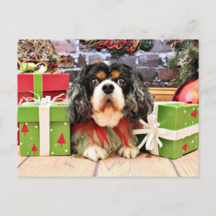 Cartão Postal De Festividades O Natal - Spaniel de rei Charles descuidado -