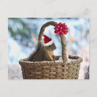 Cartão Postal De Festividades O papai noel Squirrel na neve