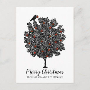 Cartão Postal De Festividades O Pássaro Raven Decora A Árvore De Natal