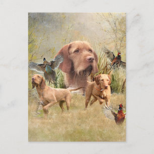 Cartão Postal De Festividades O Wirehaired Vizsla húngaro