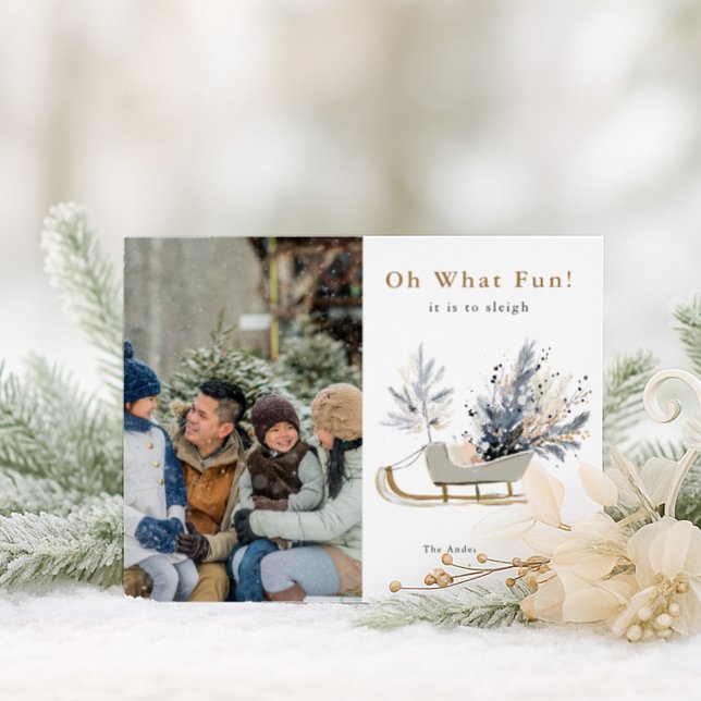 Cartão Postal De Festividades Oh, Que Foto Divertida De Sleigh (Criador carregado)