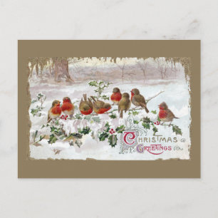 Cartão Postal De Festividades Oito Robins Ingleses em Natais vintages Holly