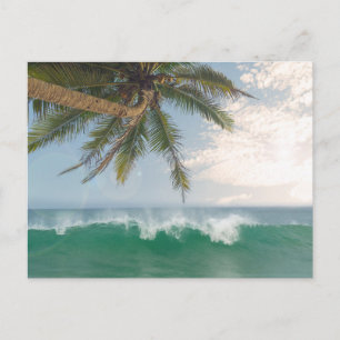 Cartão Postal De Festividades Onda do Oceano Tropical e Palmeira de Coco