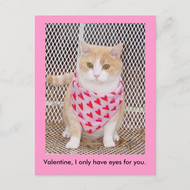 Cartão Postal De Festividades Only have eyes for you. (Frente)