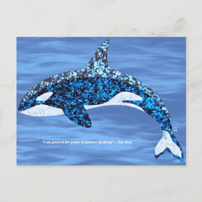 Cartão Postal De Festividades Orca Positive Thinking Postcards (Frente)