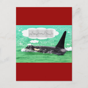 Cartão Postal De Festividades Orca Whale Christmas Green Sea Merry Christmas