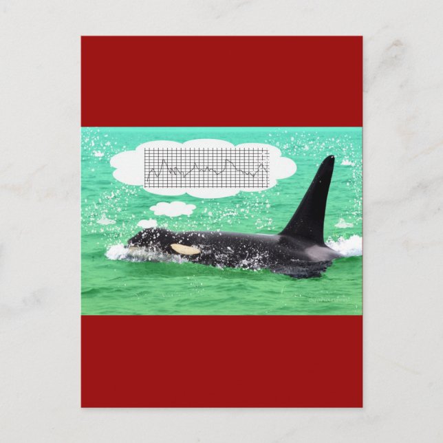 Cartão Postal De Festividades Orca Whale Christmas Green Sea Merry Christmas (Frente)