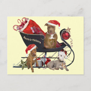 Cartão Postal De Festividades Os ajudantes do papai noel de Pitbill Terrier