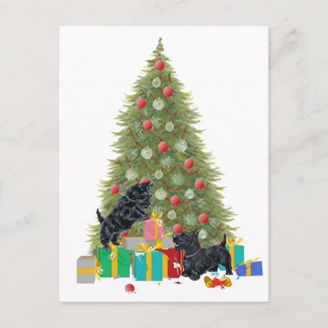 Cartão Postal De Festividades Os Scotties classificam os presentes do Natal (Frente)