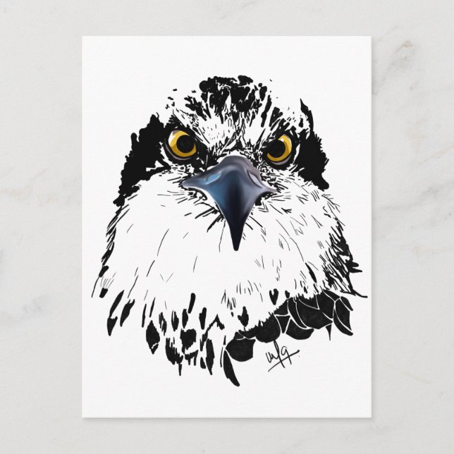 Cartão Postal De Festividades Osprey Desenho Branco Preto com Olhos Piercantes (Frente)