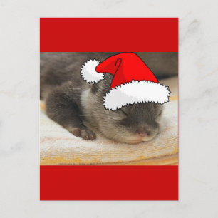 Cartão Postal De Festividades Otter Natal