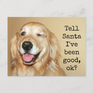 Cartão Postal De Festividades Ouro Retriever Conta Papais noeis Cartão de Natal