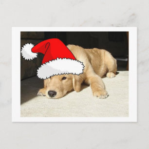 Cartão Postal De Festividades Ouro Retriever Natal Puppy