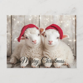 Cartão Postal De Festividades Ovelha de Natal