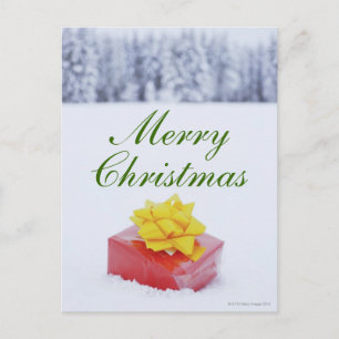 Cartão Postal De Festividades Pacote do Natal na paisagem nevado